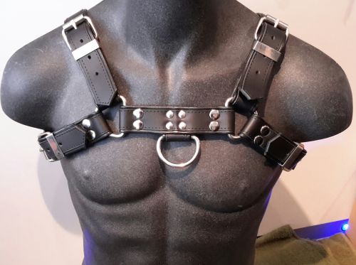 Black Leather H Front Harness